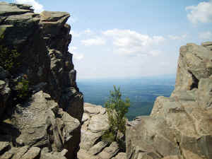 VA vacation July 06 039.jpg (247296 bytes)