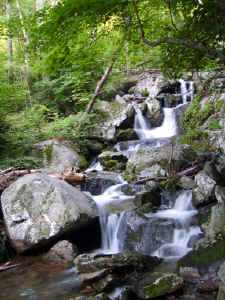 VA vacation July 06 097.jpg (332611 bytes)
