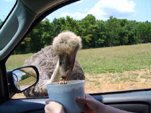 VA vacation July 06 238.jpg (264789 bytes)