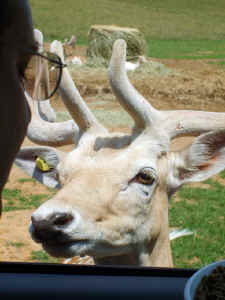 VA vacation July 06 249.jpg (240885 bytes)