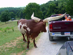 VA vacation July 06 261.jpg (279772 bytes)