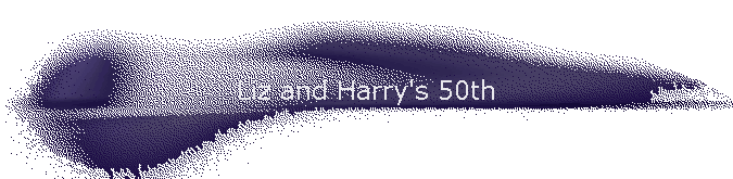 Liz and Harry's 50th