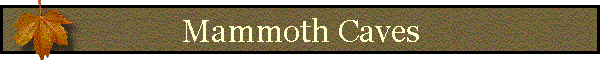 Mammoth Caves