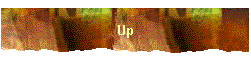 Up