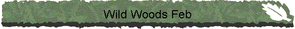 Wild Woods Feb