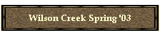 Wilson Creek Spring '03